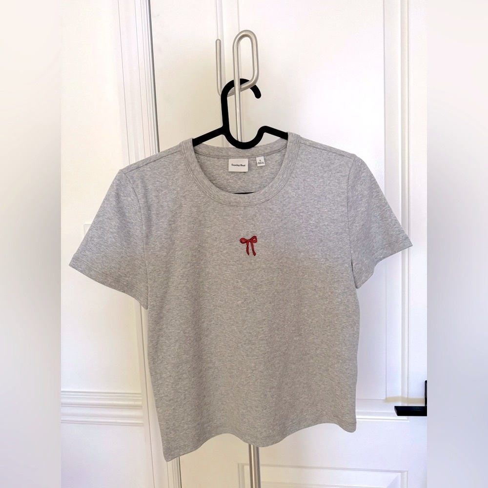 Aritzia Sunday Best Besthug™ Little Ribbed T-shirt Gray Small